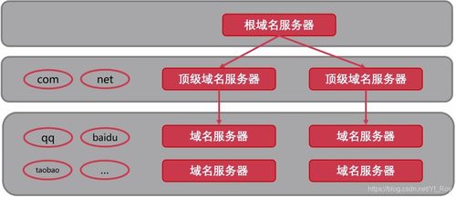 計算機(jī)網(wǎng)絡(luò)信息管理與服務(wù) 構(gòu)筑數(shù)字時代的神經(jīng)系統(tǒng)
